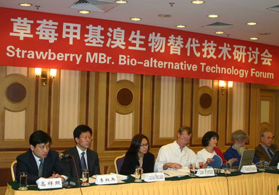 聯(lián)合國環(huán)境署、聯(lián)合國工發(fā)組織等機構(gòu)出席了我公司舉行的草莓甲基溴生物替代技術(shù)研討會