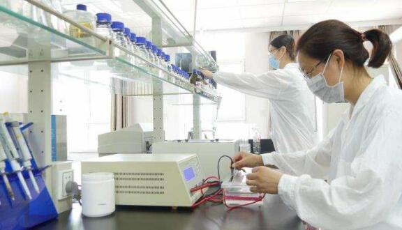 一個女企業(yè)家的現(xiàn)代農(nóng)業(yè)之夢——訪領先生物農(nóng)業(yè)股份有限公司董事長徐志文 一個女企業(yè)家的現(xiàn)代農(nóng)業(yè)之夢——訪領先生物農(nóng)業(yè)股份有限公司董事長徐志文