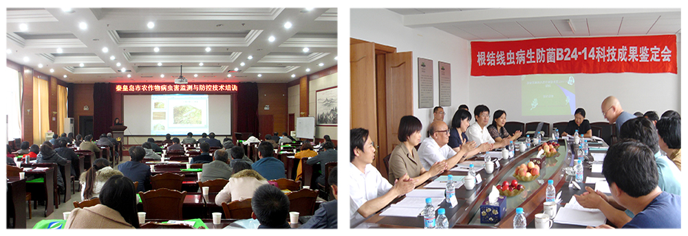 領(lǐng)先生物益根勁菌多糖解決黃瓜根結(jié)線蟲(chóng)問(wèn)題 領(lǐng)先生物益根勁菌多糖解決黃瓜根結(jié)線蟲(chóng)問(wèn)題